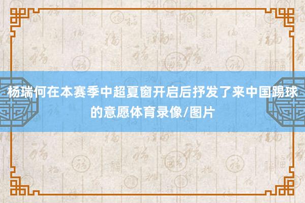 杨瑞何在本赛季中超夏窗开启后抒发了来中国踢球的意愿体育录像/图片