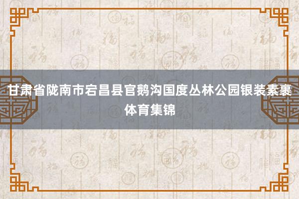 甘肃省陇南市宕昌县官鹅沟国度丛林公园银装素裹体育集锦