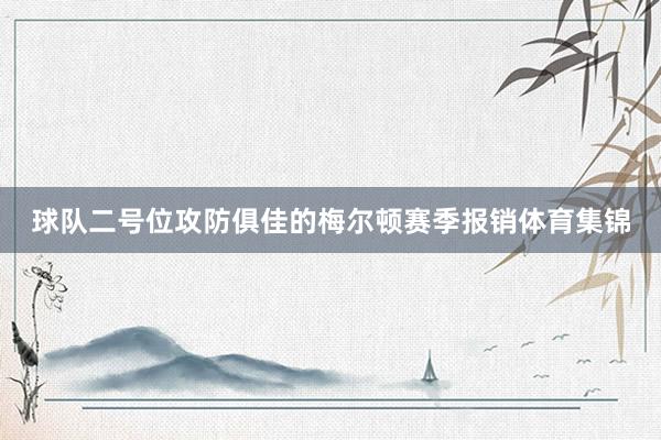 球队二号位攻防俱佳的梅尔顿赛季报销体育集锦