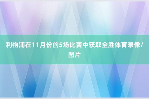 利物浦在11月份的5场比赛中获取全胜体育录像/图片