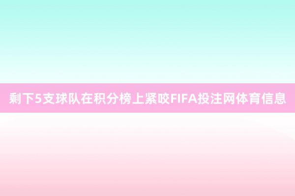 剩下5支球队在积分榜上紧咬FIFA投注网体育信息