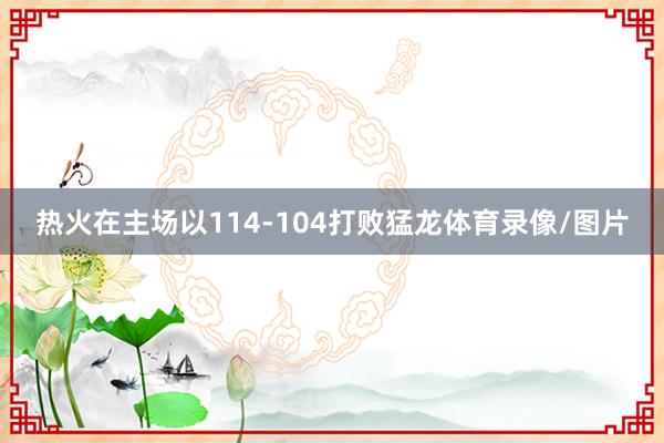 热火在主场以114-104打败猛龙体育录像/图片