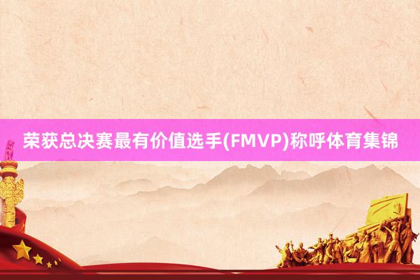 荣获总决赛最有价值选手(FMVP)称呼体育集锦