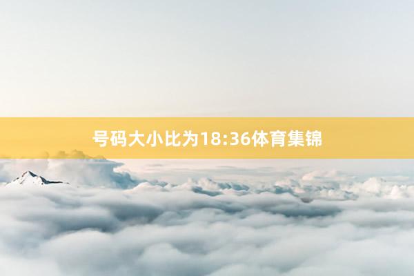 号码大小比为18:36体育集锦