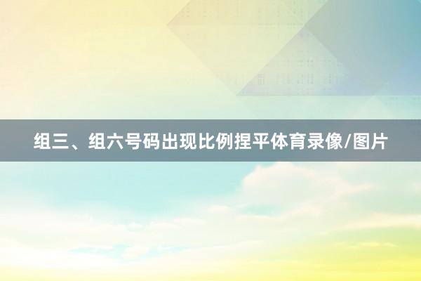 组三、组六号码出现比例捏平体育录像/图片