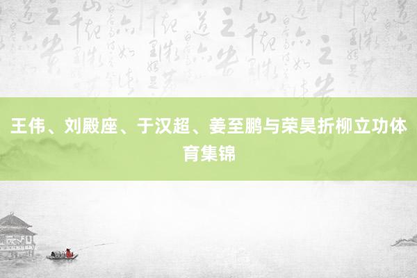 王伟、刘殿座、于汉超、姜至鹏与荣昊折柳立功体育集锦