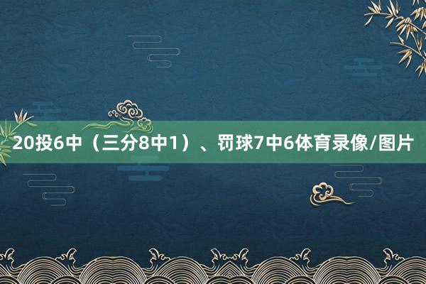 20投6中（三分8中1）、罚球7中6体育录像/图片