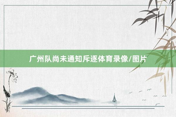 广州队尚未通知斥逐体育录像/图片