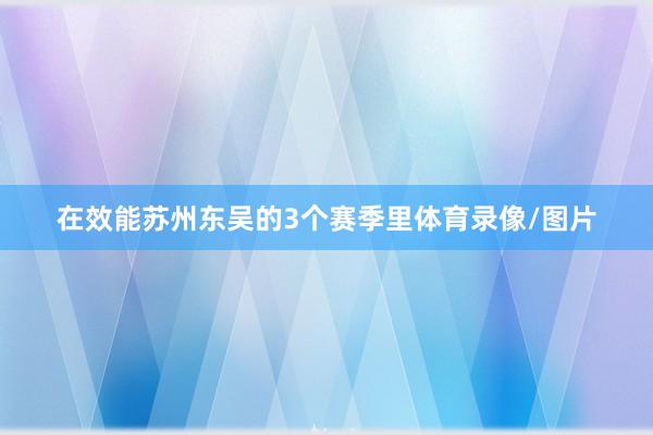 在效能苏州东吴的3个赛季里体育录像/图片