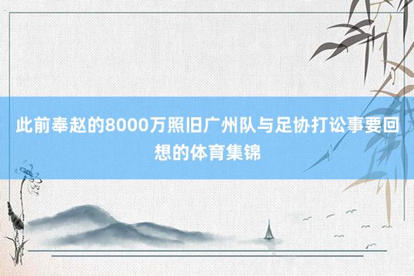 此前奉赵的8000万照旧广州队与足协打讼事要回想的体育集锦