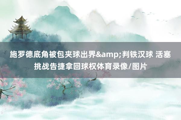 施罗德底角被包夹球出界&判铁汉球 活塞挑战告捷拿回球权体育录像/图片