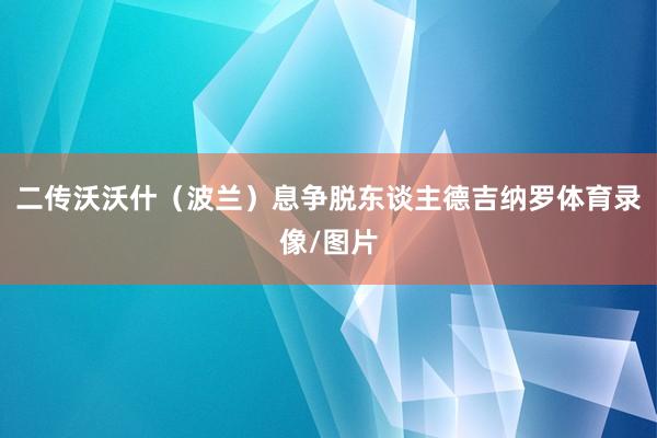 二传沃沃什（波兰）息争脱东谈主德吉纳罗体育录像/图片