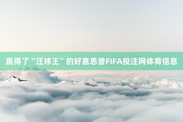 赢得了“汪球王”的好意思誉FIFA投注网体育信息