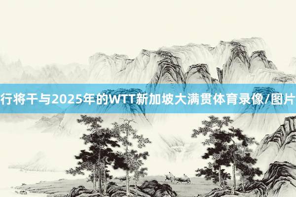 行将干与2025年的WTT新加坡大满贯体育录像/图片