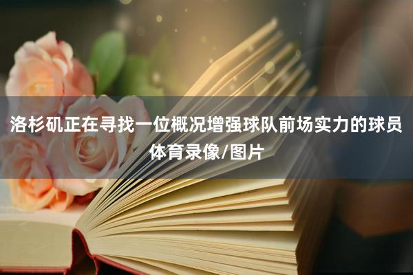 洛杉矶正在寻找一位概况增强球队前场实力的球员体育录像/图片